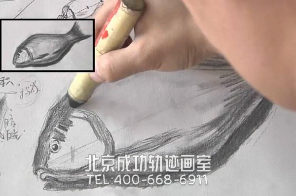 鱼素描画教程