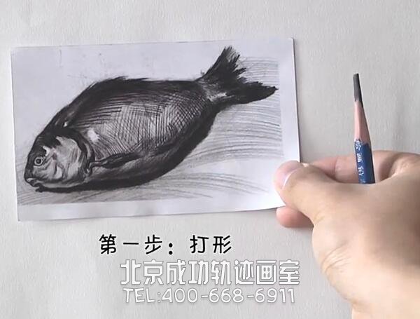 素描怎么画鱼
