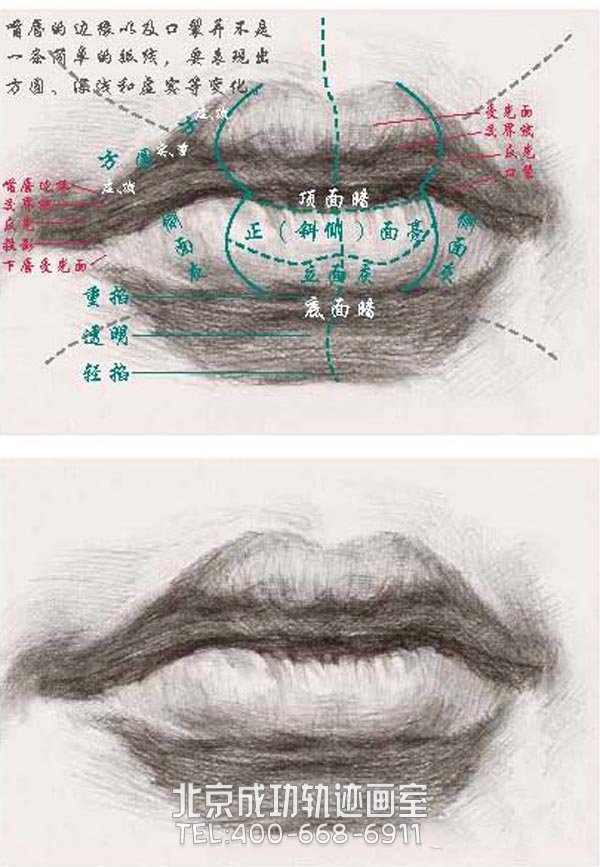 素描嘴唇的画法图解7