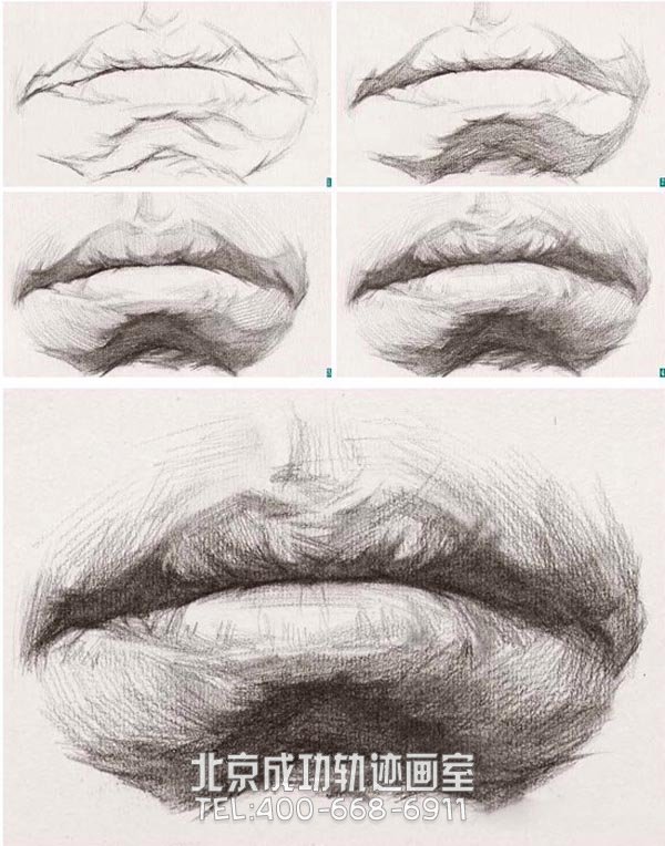 素描嘴唇的画法图解6