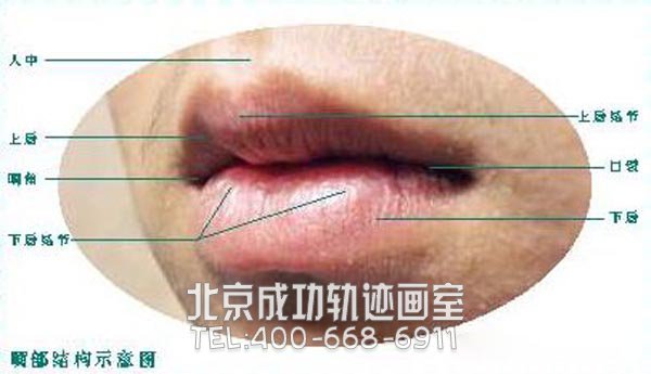 素描嘴唇的画法图解9